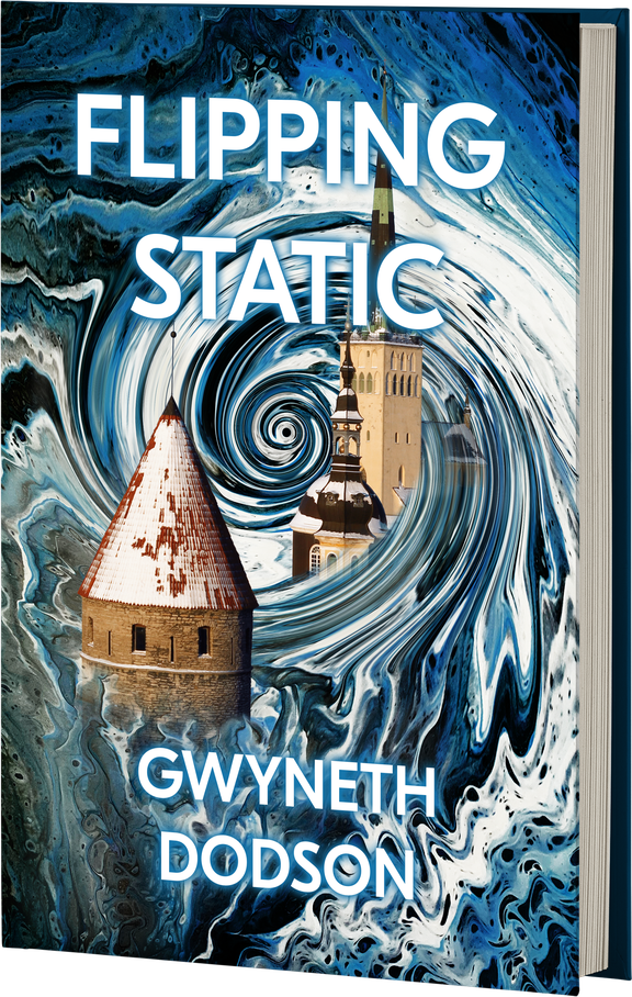 Flipping Static book cover